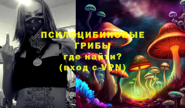 индика Рославль