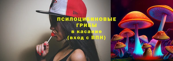индика Рославль