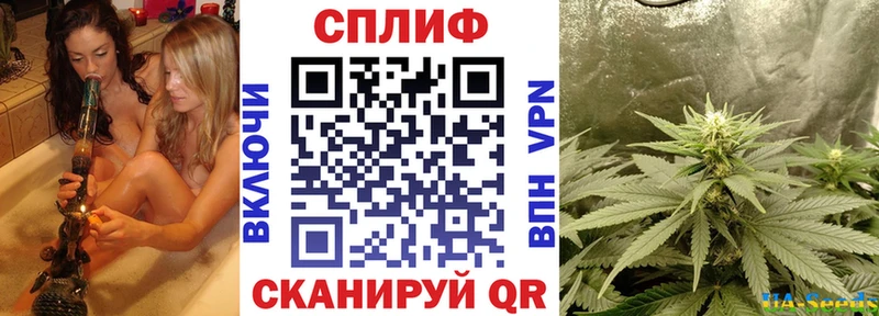 Шишки марихуана OG Kush  Туймазы 